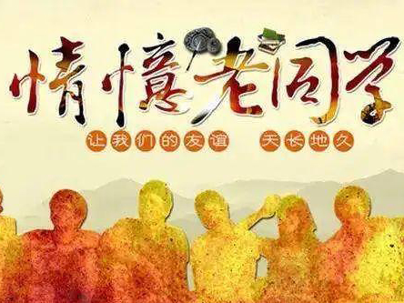 重庆寻找老同学/老同事